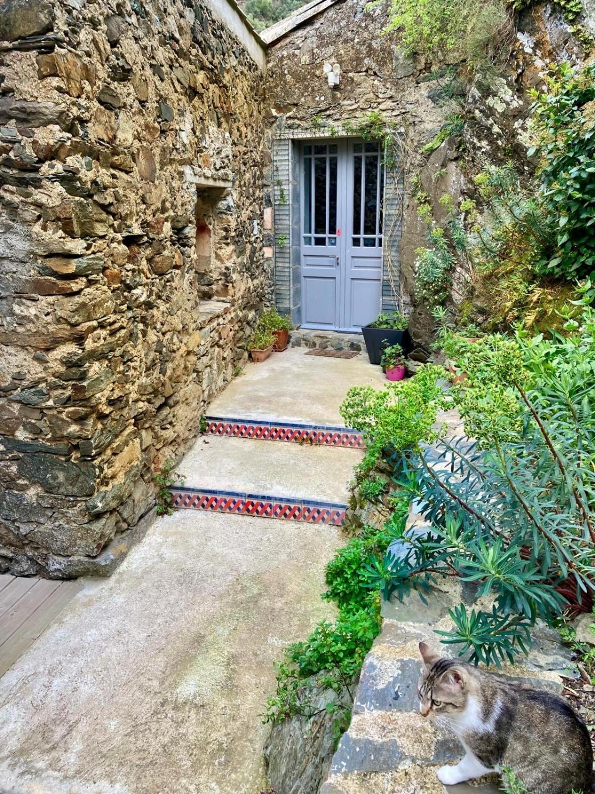 4 Star Cabaret Lastours 4 Chateaux Amazing Cathar Landmark Private Luxury 4 Star Air Conditioned Terrasse With Views מראה חיצוני תמונה